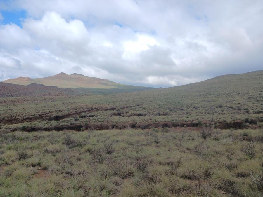 0 Bedroom Property for Sale in Richmond Rural Northern Cape